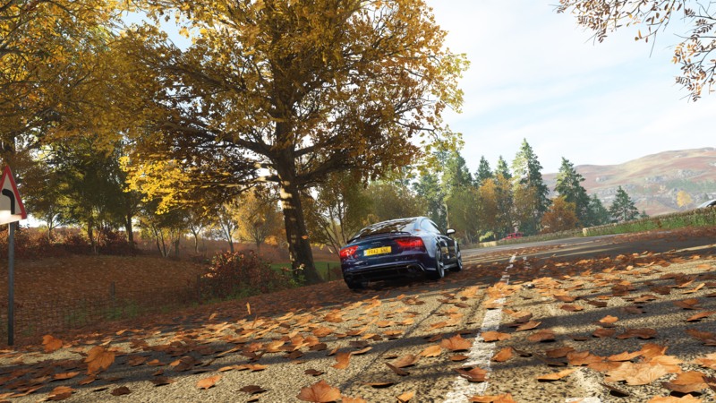 Forza Horizon 4, fall, Audi RS7, screen shot
