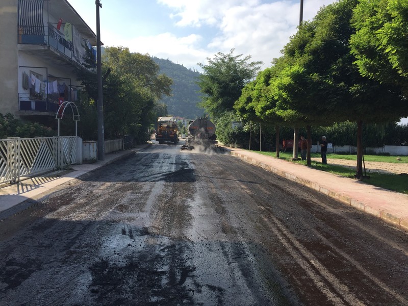 road, tree stump, trees, asphalt, trucks, Turkey