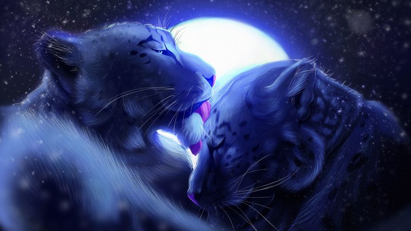 leopards, moon, tenderness, care, 4k