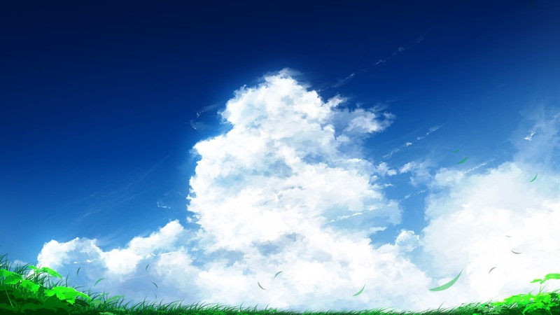 clouds, sky, grass, artwork, painting, anime, plants, white, blue