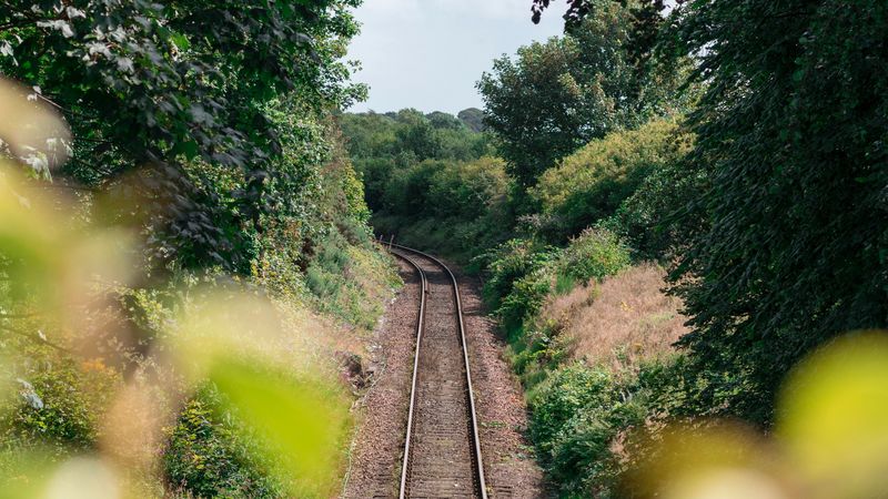 rails, railway, trees, bushes, nature, 4k