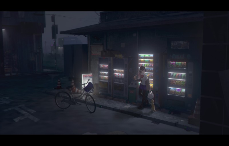 anime girls, anime, dark, night, urban, city, bicycle, cats
