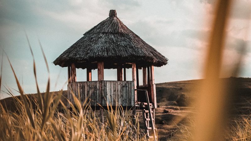 hut, building, wooden, grass, 4k