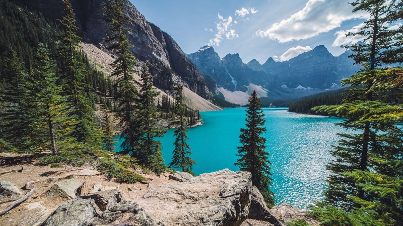 water, nature, lake, pine trees, Moraine Lake, landscape