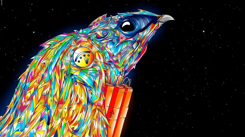 colorful, abstract, birds, animals