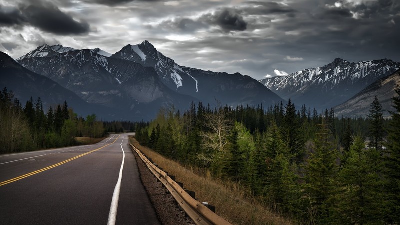road, mountains, landscape, overcast, pine trees, snowy peak