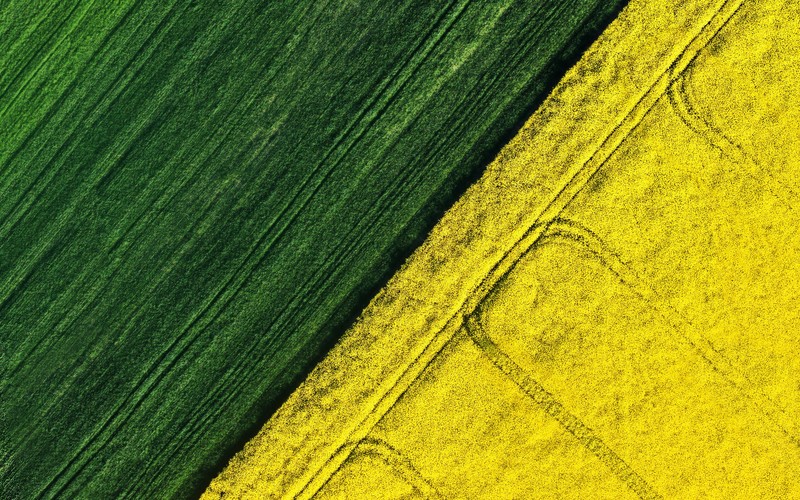 Acer, laptop, green, aerial view, field