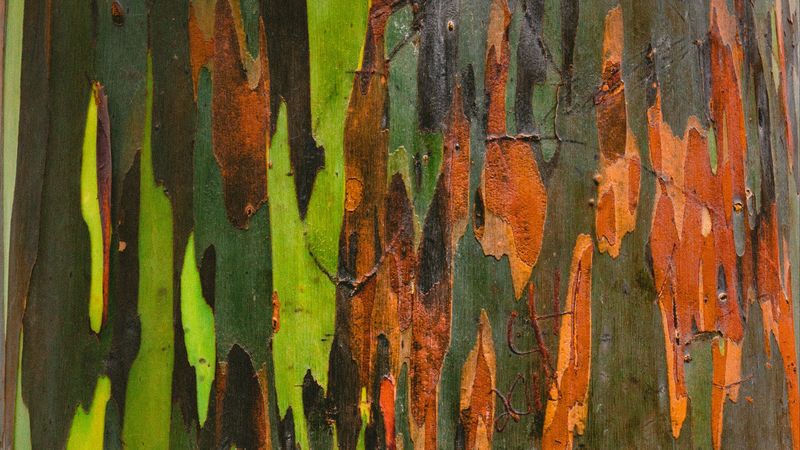 stains, paint, rust, texture, surface, 4k