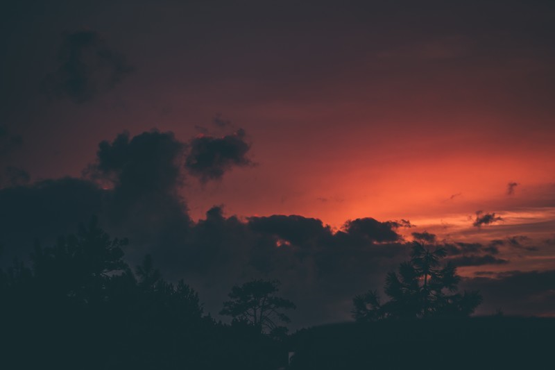 clouds, sunset, trees, red