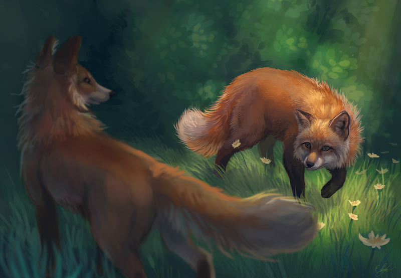 illustration, animals, fox, nature, artwork