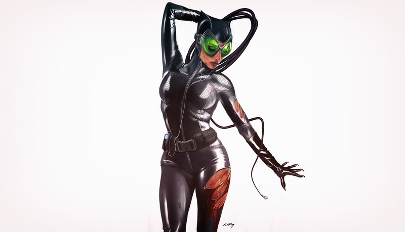 artwork, Catwoman, DC Comics, Batman