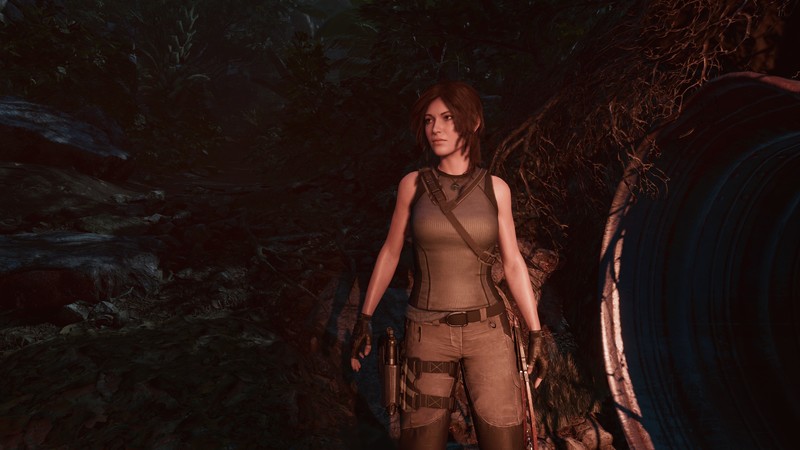 Lara Croft, Shadow of the Tomb Raider, Tomb Raider, video games