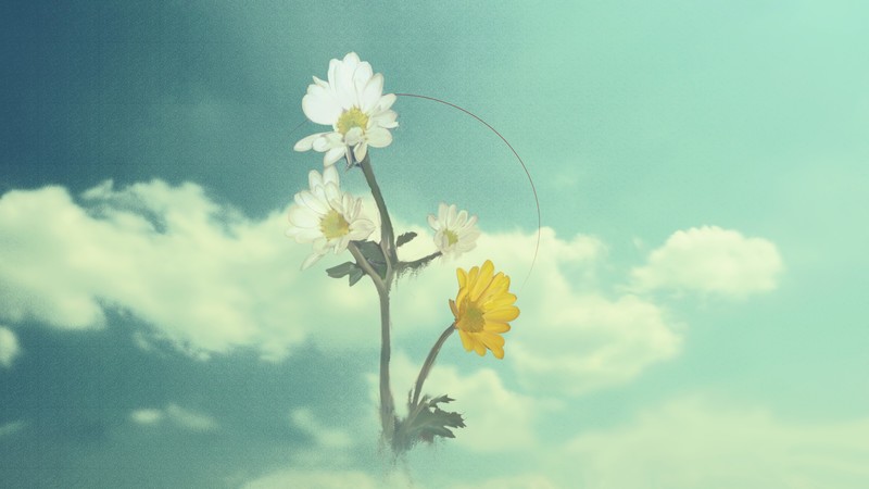 artwork, digital art, sky, flowers