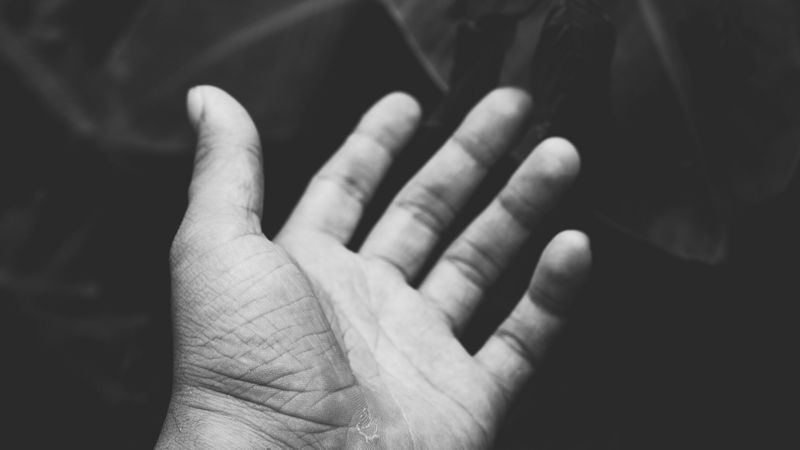 hand, handbreadth, bw, leaves, plants, 4k