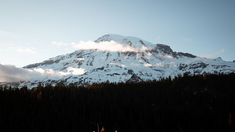 mountain, peak, snowy, forest, trees, 4k