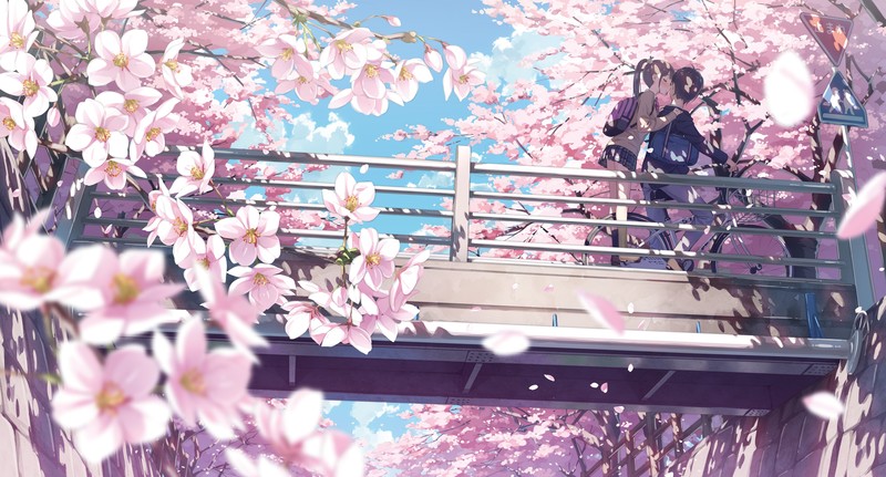 anime, anime girls, colorful, flowers, plants, bicycle, spring, bridge