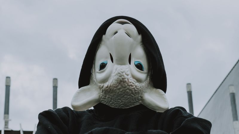 mask, sheep, hood, hoodie, black, 4k