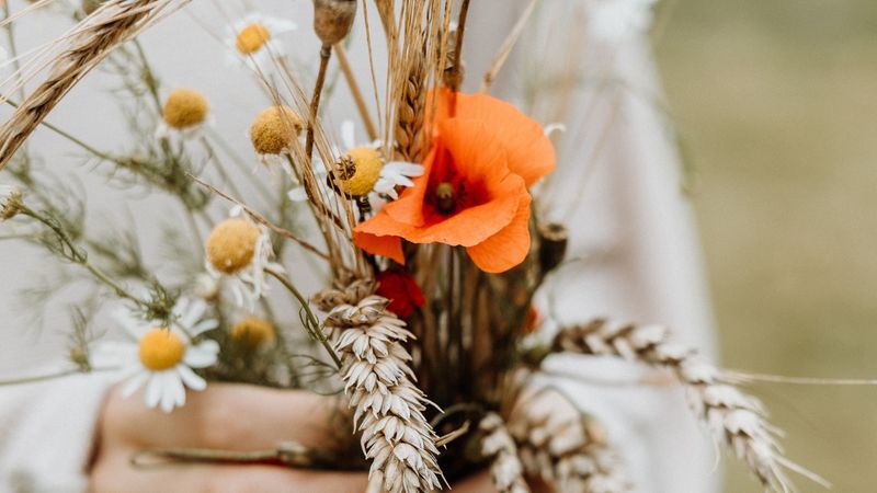bouquet, flowers, spikelets, poppy, daisies, 4k