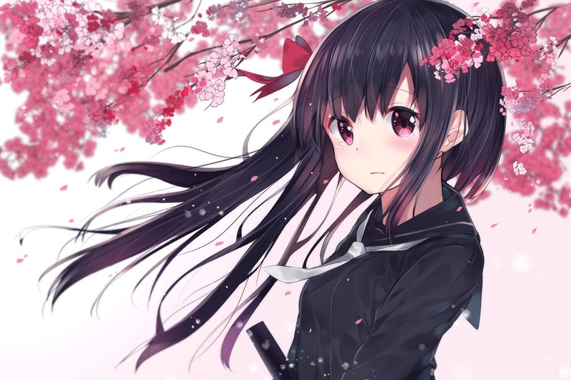 anime, anime girls, dark hair, long hair, red eyes