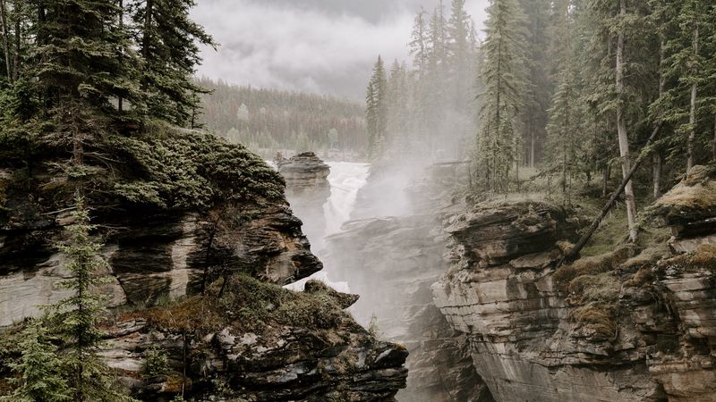 rocks, river, fog, trees, cliffs, 4k