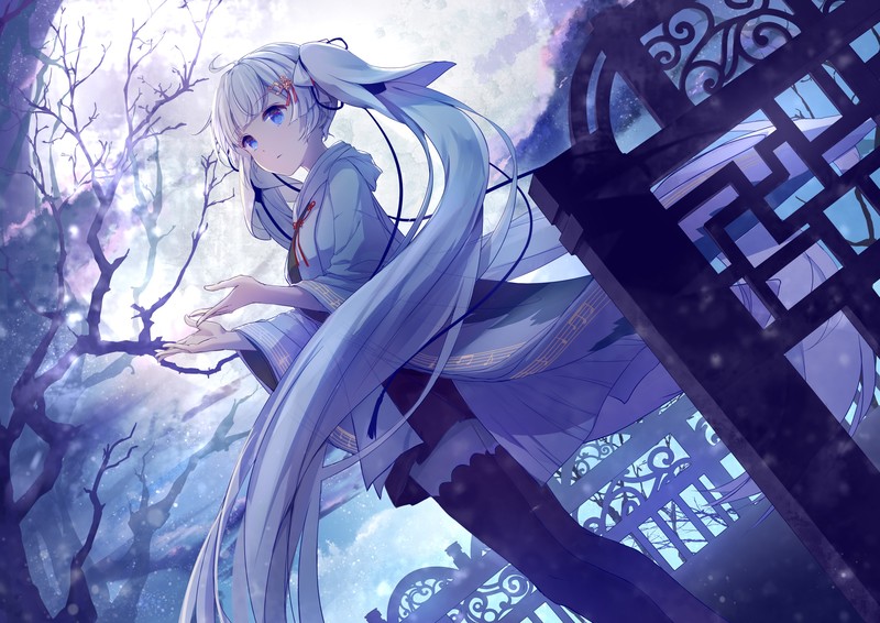 anime girls, long hair, blue eyes