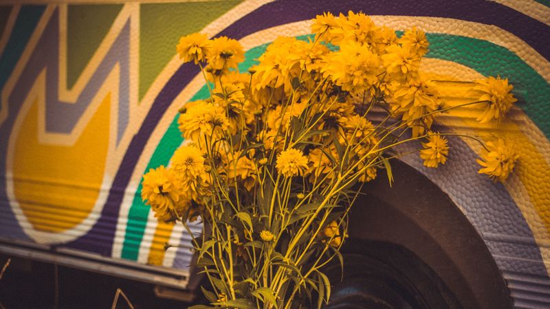 flowers, yellow, bouquet, bright, 4k