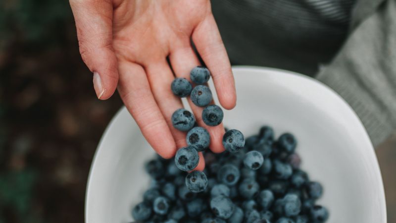 blueberries, berries, hand, bowl, 4k
