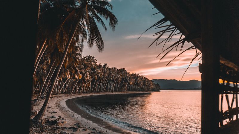 sea, beach, palm trees, sunset, tropics, 4k