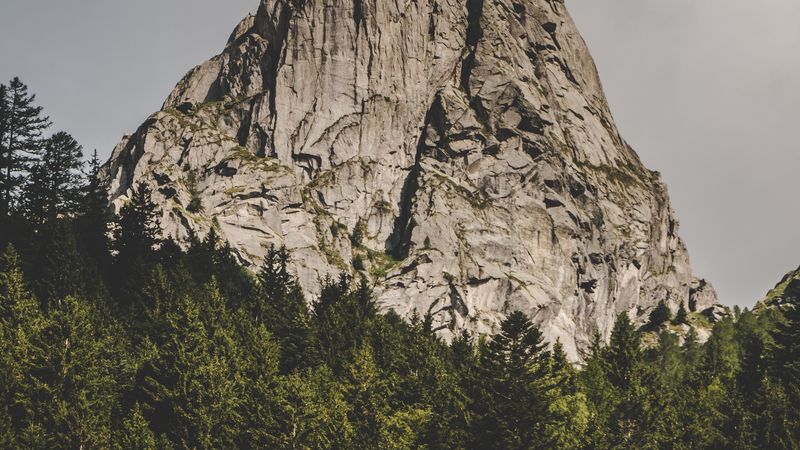 mountain, rock, peak, forest, trees, 4k
