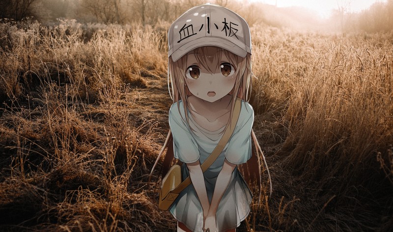 anime, loli, Hataraku Saibou, anime girls