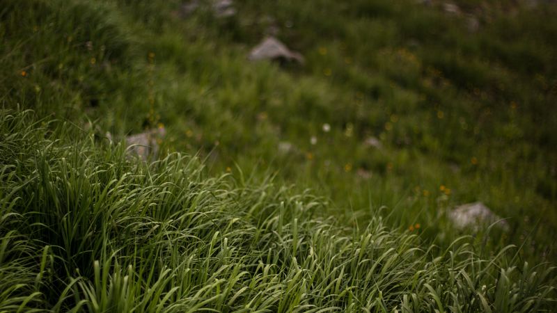 grass, stones, mountains, greenery, landscape, 4k