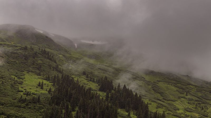 mountains, trees, fog, clouds, slope, 4k