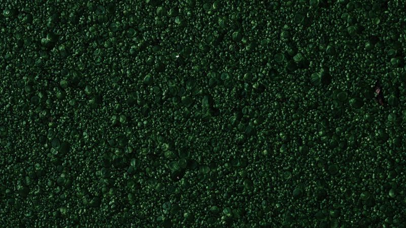 stones, green, texture, surface, 4k