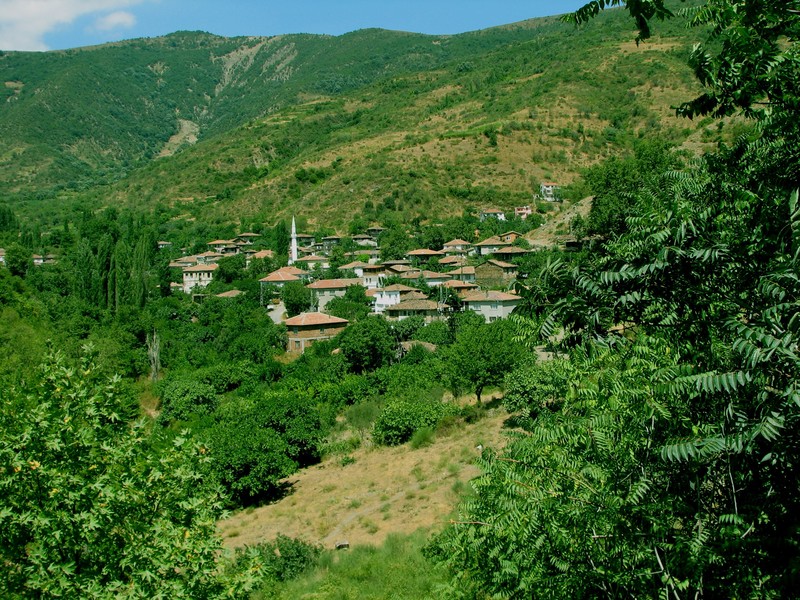 Turkey, landscape, plants