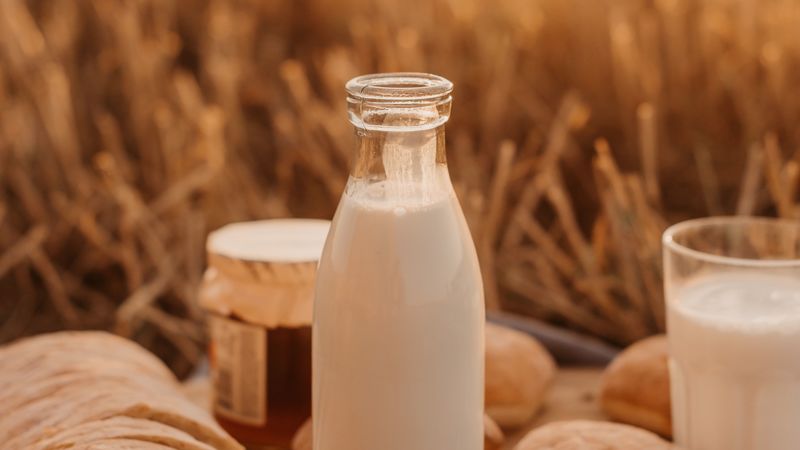 milk, bottle, field, picnic, 4k