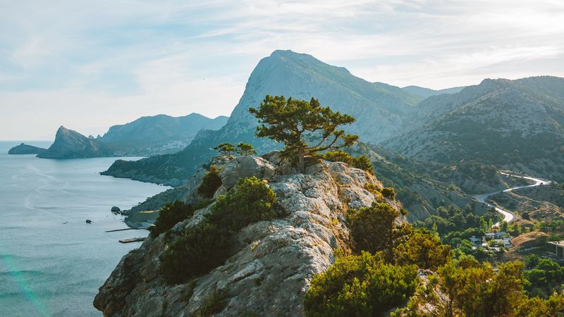 tree, rocks, cliff, sea, sky, 4k