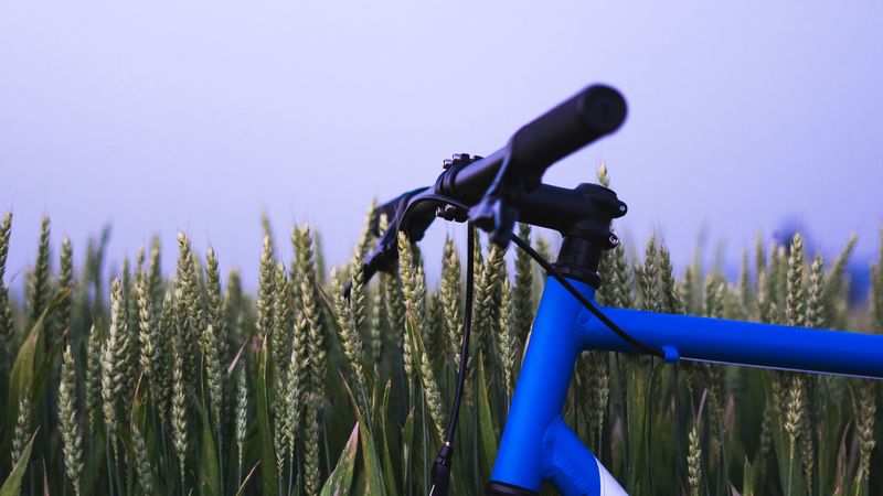bike, ears, steering wheel, sky, 4k