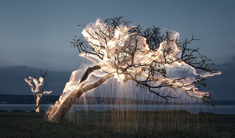 fire, trees, light trails, artwork, long exposure