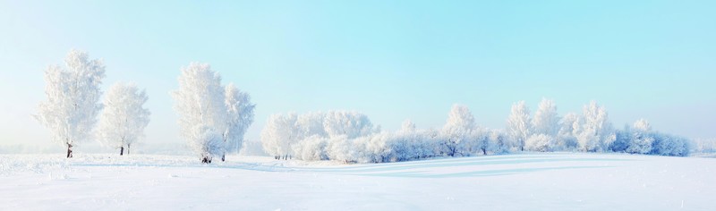 snow, trees, landscape, winter, frost, sunlight, clear sky