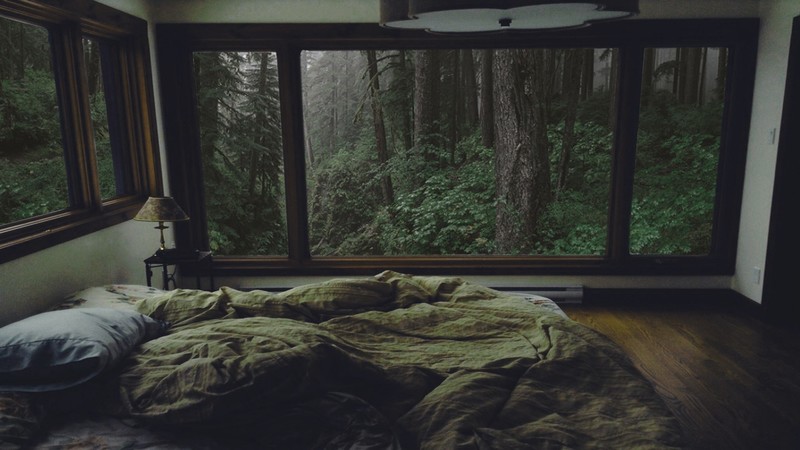 bedroom, forest, interior