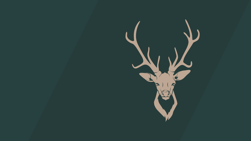 minimalism, Buck, antlers, simple background