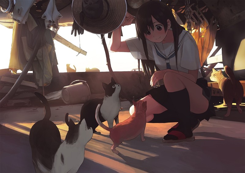 anime girls, cats, animals, artwork, schoolgirl