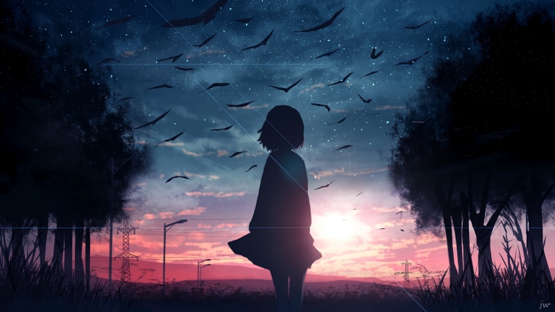 shadow, silhouette, women, fantasy girl, landscape, sunrise, birds, character design, fictional, concept art, anime girls, Sun, starred sky, fictional character