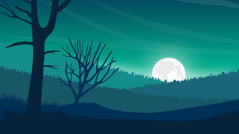 fantasy landscape, vector, artistic, full moon, moon, digital art, landscape, graphics, graphic design, minimal art, fantasy art, 1080P, silhouette, tree