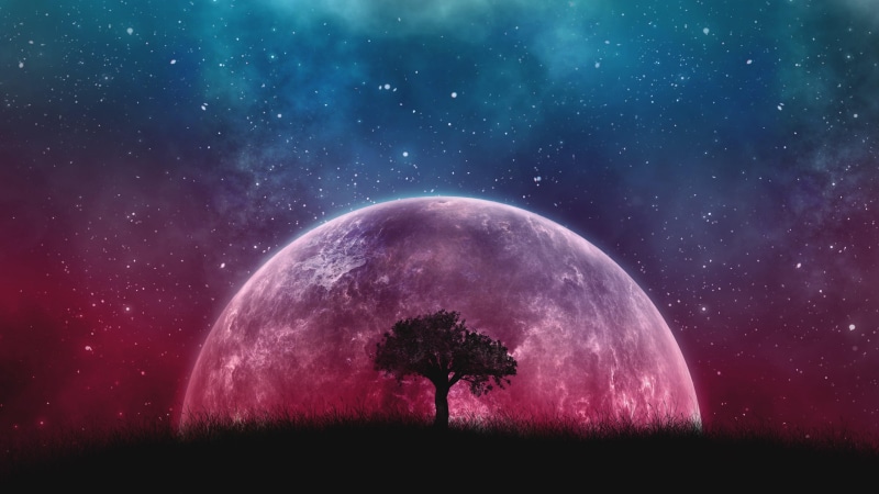 stars, starry, planet, field, moon, artwork, starry night, art, lone tree, supermoon, sky, universe, tree, night sky, fantasy art, 4K, lonely tree, digital