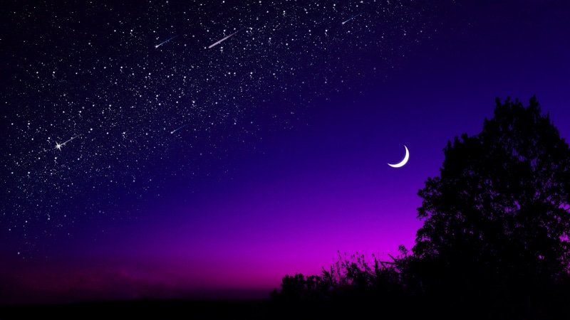 falling stars, crescent, starry, falling star, purple sky, tree, beautiful, purple, moon, meteors, shooting star, 4K, astronomy, stars, night, darkness