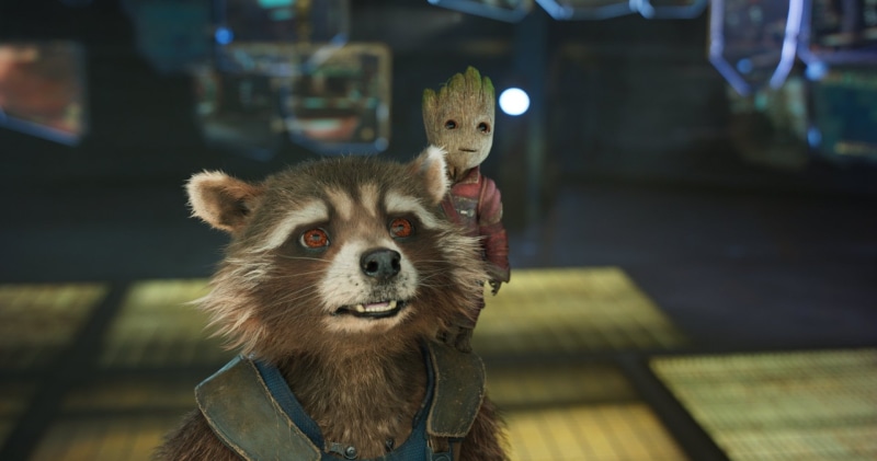 mammal, glass - material, animal, 1080P, looking at camera, whisker, Rocket Raccoon, animals in captivity, no people, domestic, Guardians of the Galaxy Vol. 2