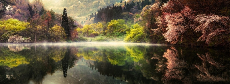 calm, autumn, idyllic, scenics - nature, lake, forest, non-urban scene, 1080P, land, day, mountains, South Korea, nature, beauty in nature, reflecting