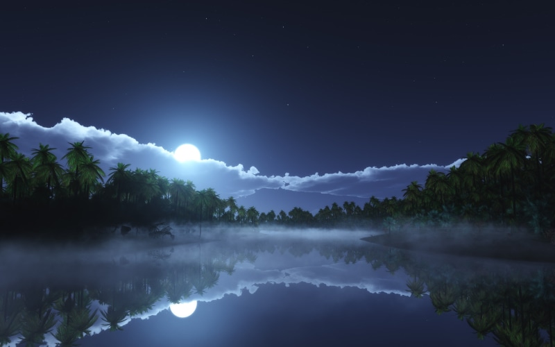 tranquility, moon, tree, reflection, tropical, cloud - sky, star - space, reflection lake, water, no people, non-urban scene, waterfront, tranquil scene