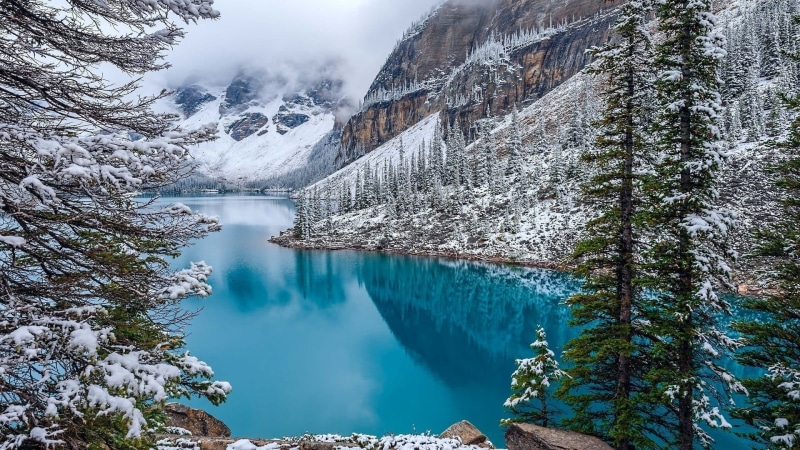 scenics - nature, cold temperature, tree, trees, pine tree, turquoise, nature, plant, non-urban scene, lake, mountains, landscape, cyan, day, forest, land
